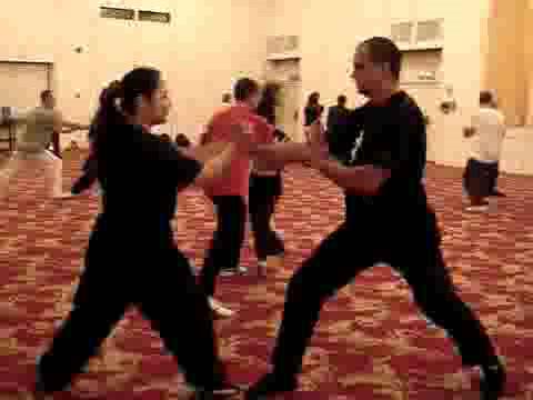 Wahnam Taijiquan Tai Chi Chuan