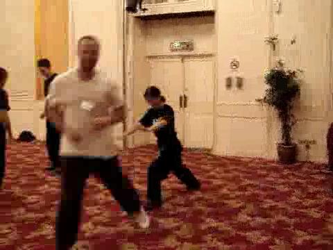 Wahnam Taijiquan