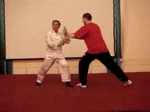 Wahnam Taijiquan, Tai Chi Chuan