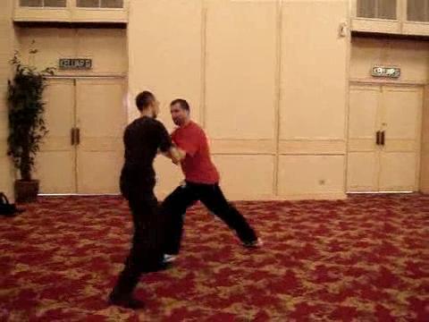 Wahnam Taijiquan