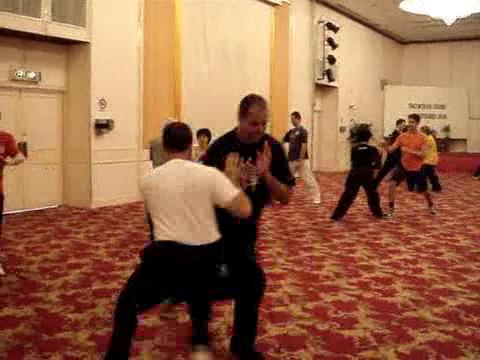 Wahnam Taijiquan