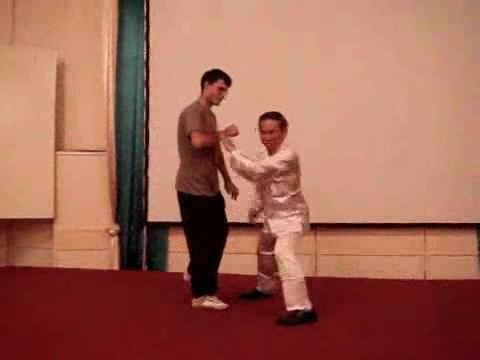 Wahnam Taijiquan