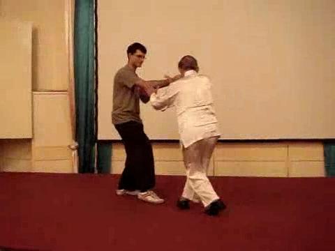 Wahnam Taijiquan