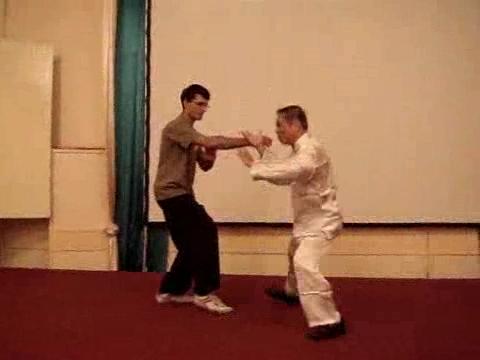 Wahnam Taijiquan