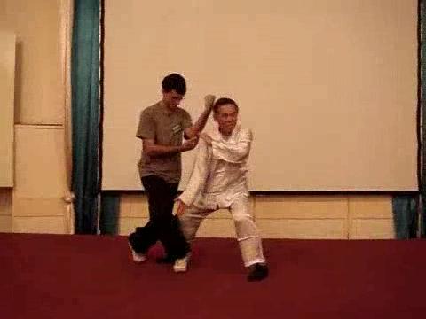 Wahnam Taijiquan