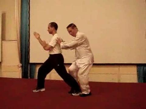 Wahnam Taijiquan