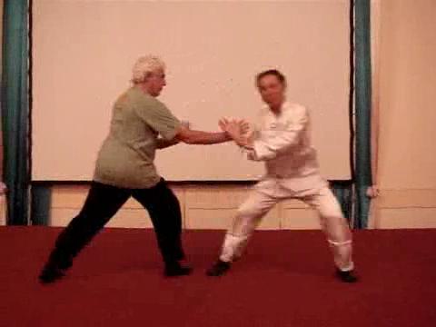 Wahnam Taijiquan Tai Chi Chuan