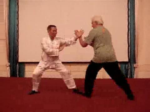 Wahnam Taijiquan