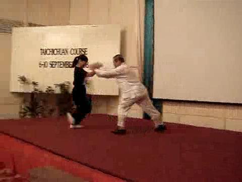 Wahnam Taijiquan