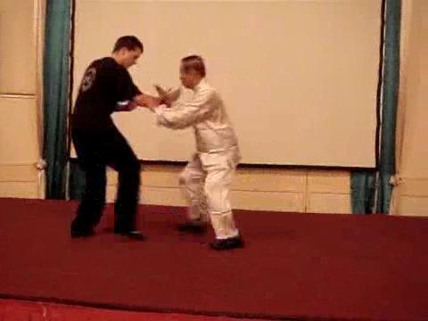 Wahnam Taijiquan