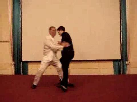 Wahnam Taijiquan