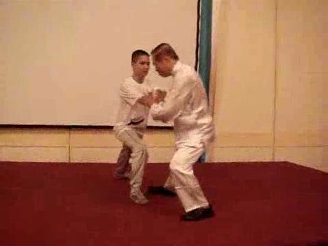 Wahnam Taijiquan