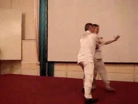 Wahnam Taijiquan