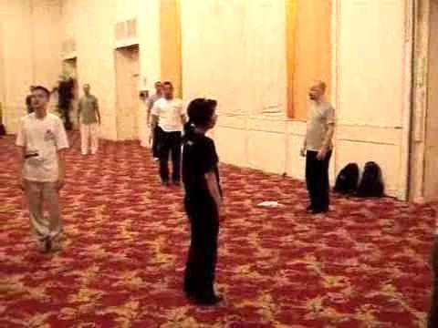 Wahnam Taijiquan