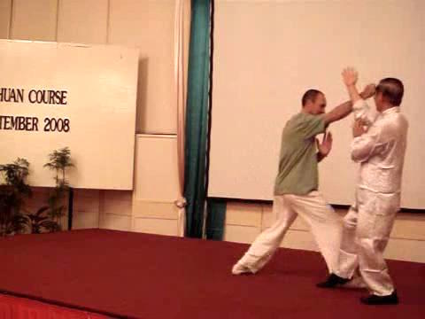 Wahnam Taijiquan