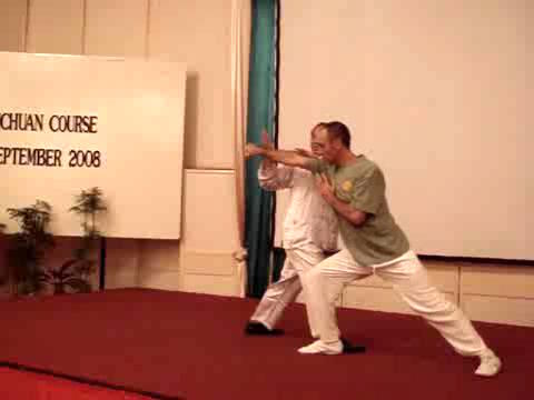 Wahnam Taijiquan