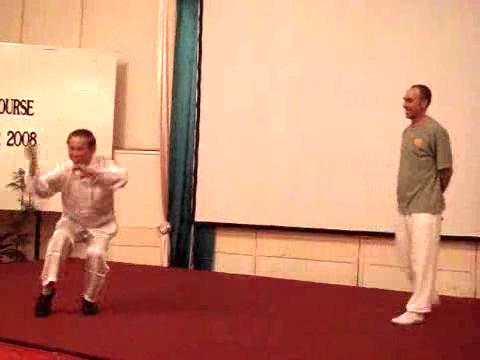 Wahnam Taijiquan Tai Chi Chuan