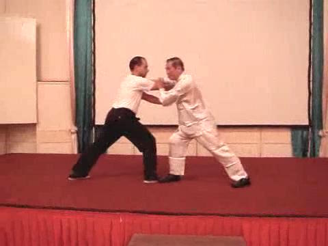 Wahnam Taijiquan