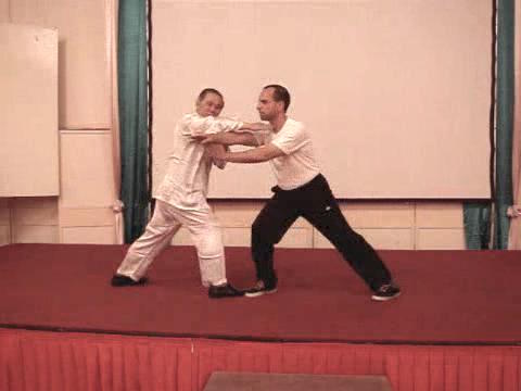 Wahnam Taijiquan, Tai Chi Chuan