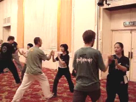 Wahnam Taijiquan