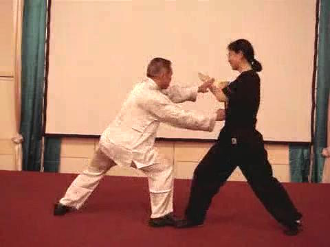 Wahnam Taijiquan Tai Chi Chuan