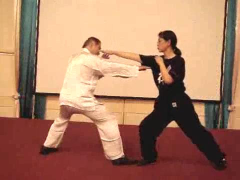 Wahnam Taijiquan