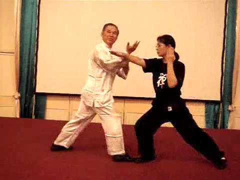 Wahnam Taijiquan