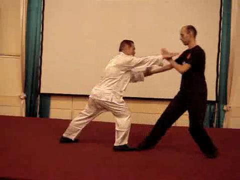 Wahnam Taijiquan Tai Chi Chuan