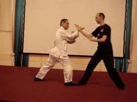 Wahnam Taijiquan