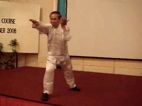 Wahnam Taijiquan