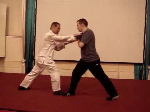 Wahnam Taijiquan