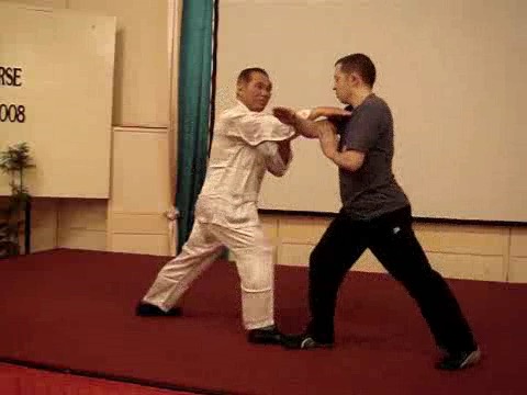 Wahnam Taijiquan