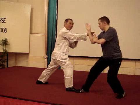 Wahnam Taijiquan