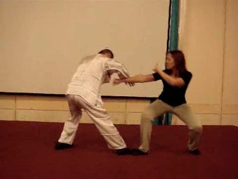 Wahnam Taijiquan