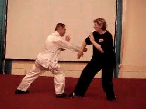 Wahnam Taijiquan