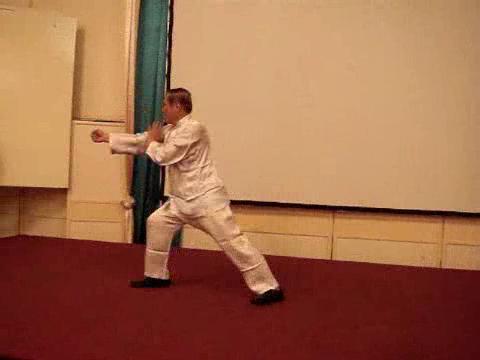 Wahnam Taijiquan