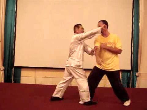 Wahnam Taijiquan Tai Chi Chuan