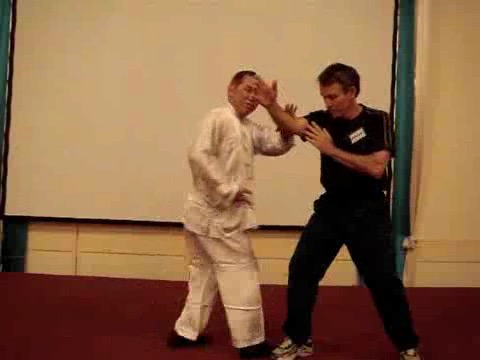 Wahnam Taijiquan