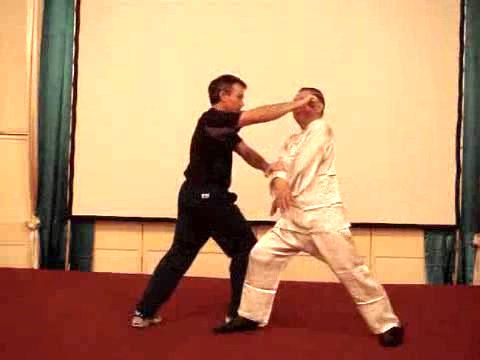 Wahnam Taijiquan