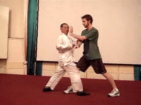 Wahnam Taijiquan