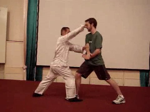 Wahnam Taijiquan