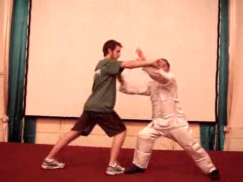 Wahnam Taijiquan