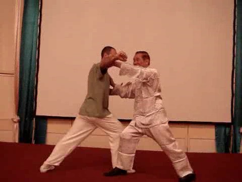 Wahnam Taijiquan