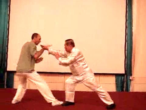 Wahnam Taijiquan