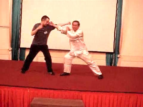 Wahnam Taijiquan, Tai Chi Chuan