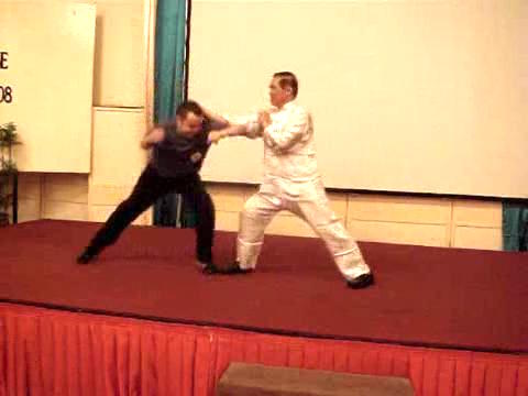 Wahnam Taijiquan