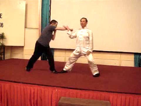 Wahnam Taijiquan