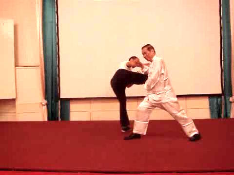 Wahnam Taijiquan