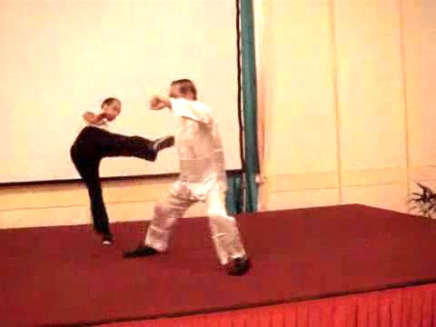 Wahnam Taijiquan Tai Chi Chuan