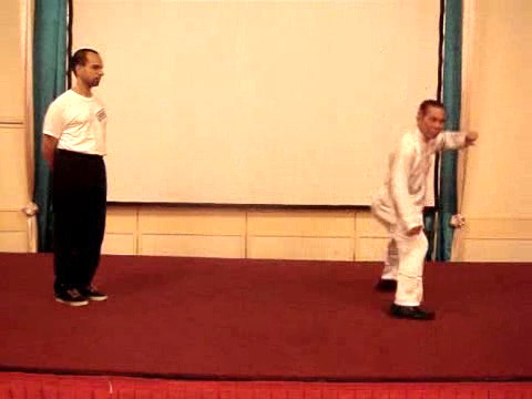 Wahnam Taijiquan